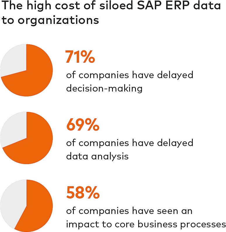 Die hohe Belastung der Unternehmen durch isolierte SAP-ERP-Daten.