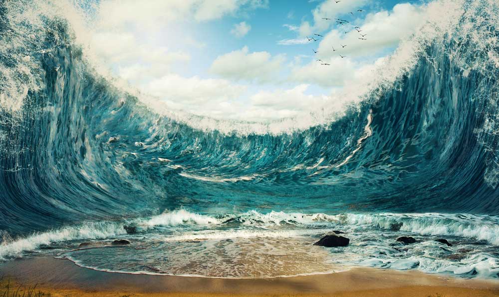 [shutterstock:279476240, Amanda Carden]