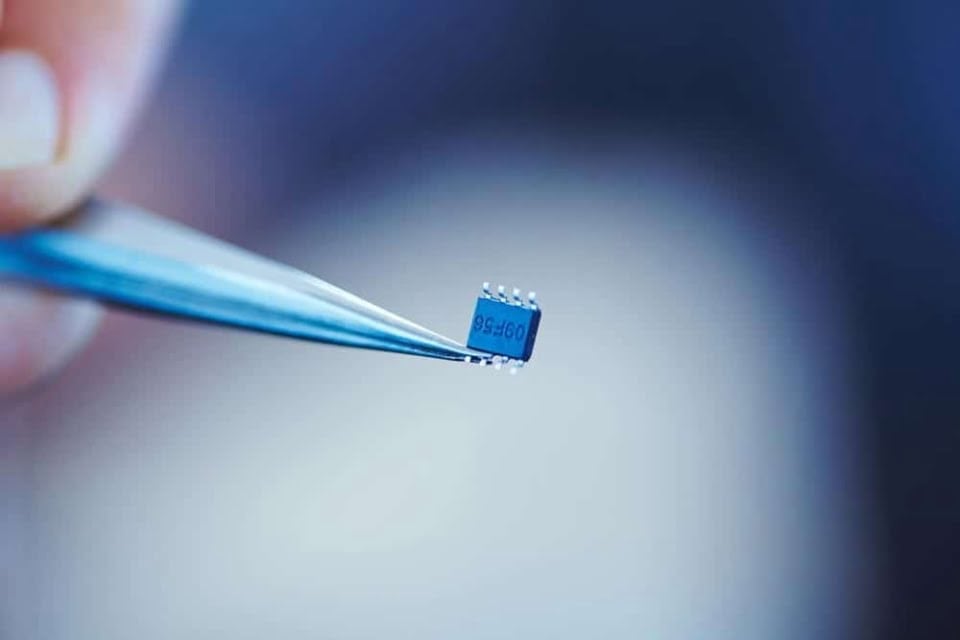 [shutterstock:530288293, allstars]