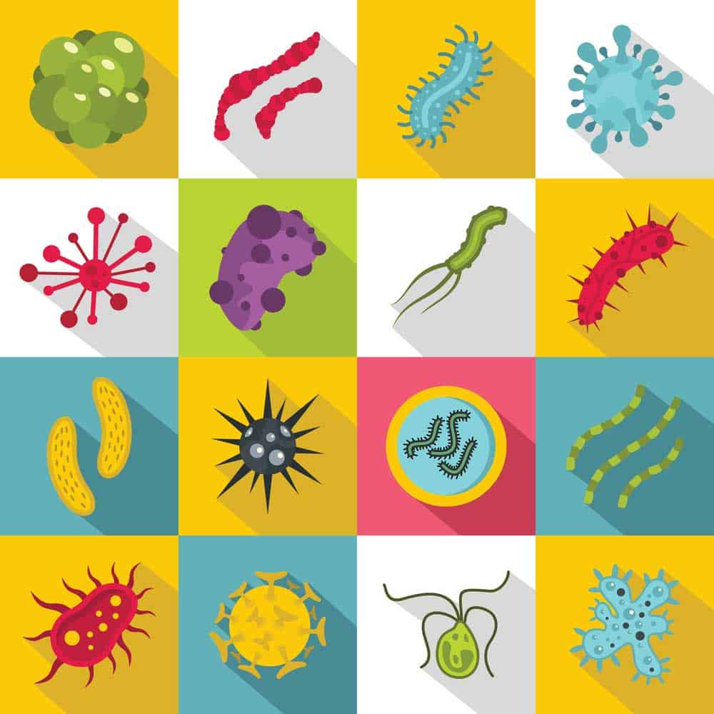 Virus & bactéries [shutterstock:518764111, Rvector]