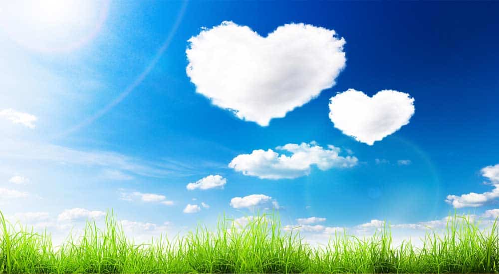 [shutterstock.com:125440199, robert_s]