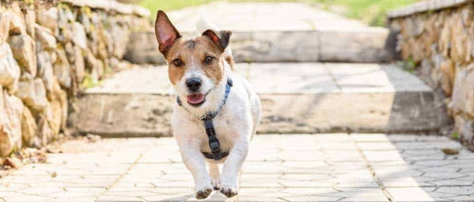 Hana en trois étapes