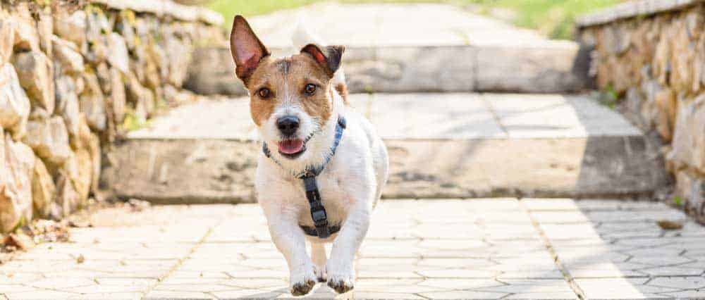 Hana en trois étapes