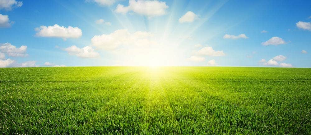 Un plaidoyer pour l'approche greenfield