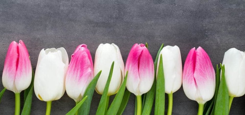 Blühende IT-Landschaften