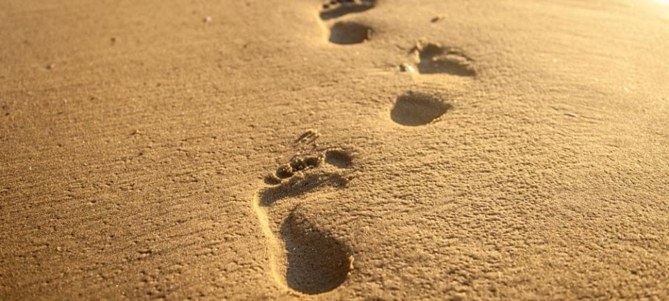 Seis pasos hacia el futuro de S/4