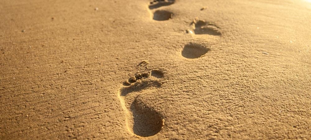 En six étapes vers l'avenir de S/4