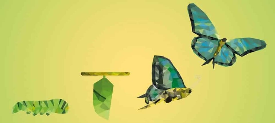 La estrategia de transformación digital: SAP no va por buen camino