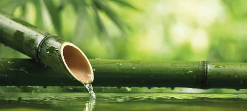 Qué tiene que ver la agilidad con los sistemas heredados de SAP