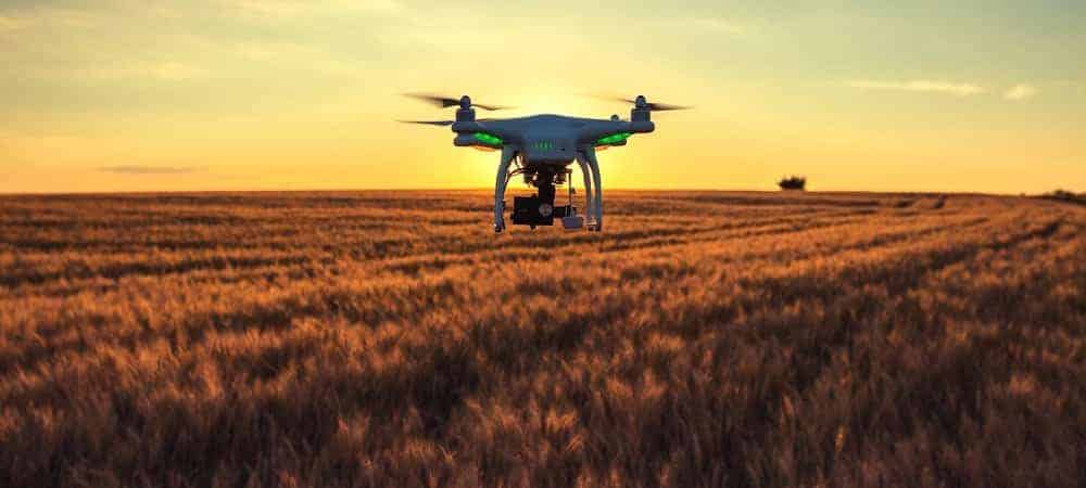 Un projet de protection de l'environnement remporte le prix de l'innovation SAP