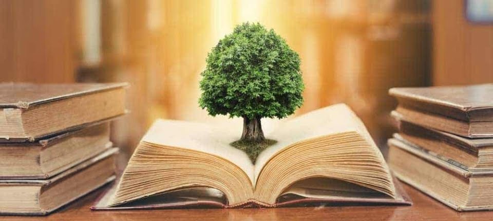 Travail éducatif : la crème de la crème