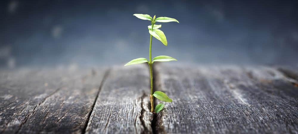 La escasez de trabajadores cualificados dificulta la puesta en marcha de SAP