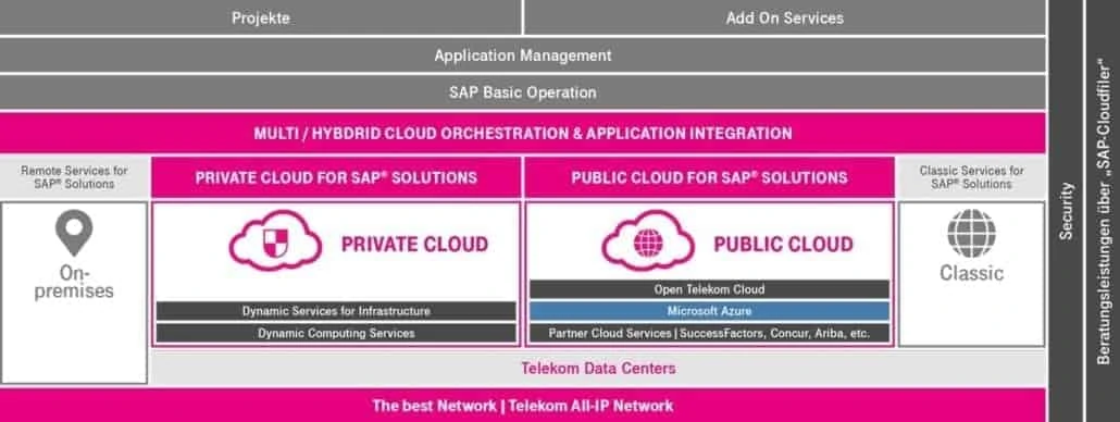 Azur y savia: gemelos fraternos