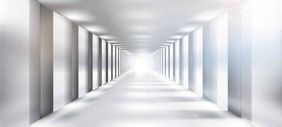 [shutterstock.com: 242226691, silvae]