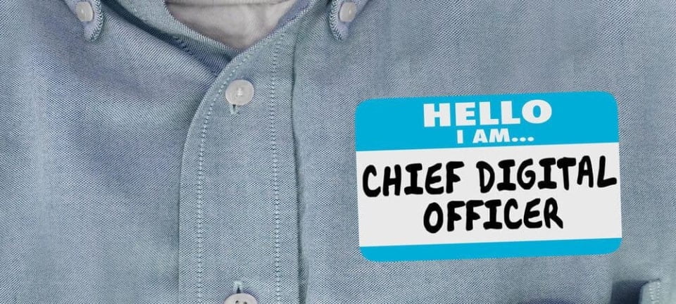 [shutterstock.com: 1021416607, iQoncept]