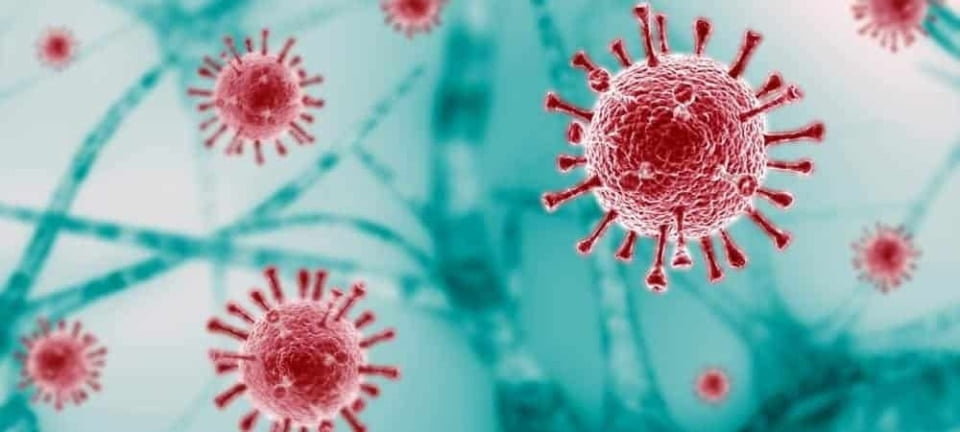 [shutterstock.com: 1663975150, Aleksa Moonrise]