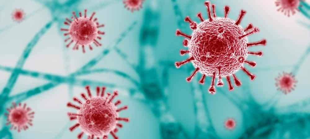 [shutterstock.com : 1663975150, Aleksa Moonrise]