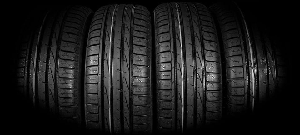 [shutterstock.com : 1449946574, BigTunaOnline]