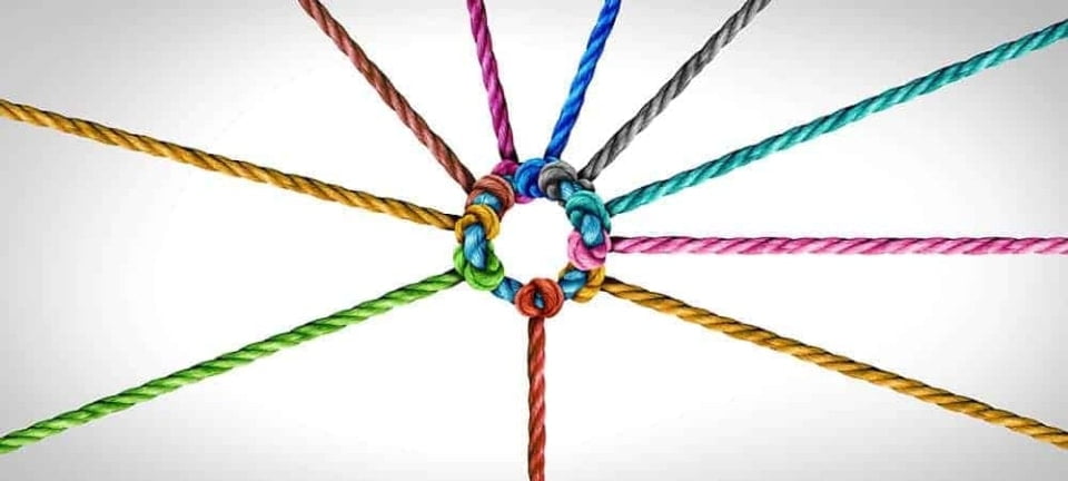 [shutterstock.com: 1685161738, Lightspring]