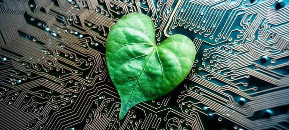 [shutterstock.com : 444103798, wk1003mike]