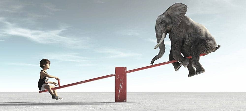 [shutterstock : 1248908008, Orla]