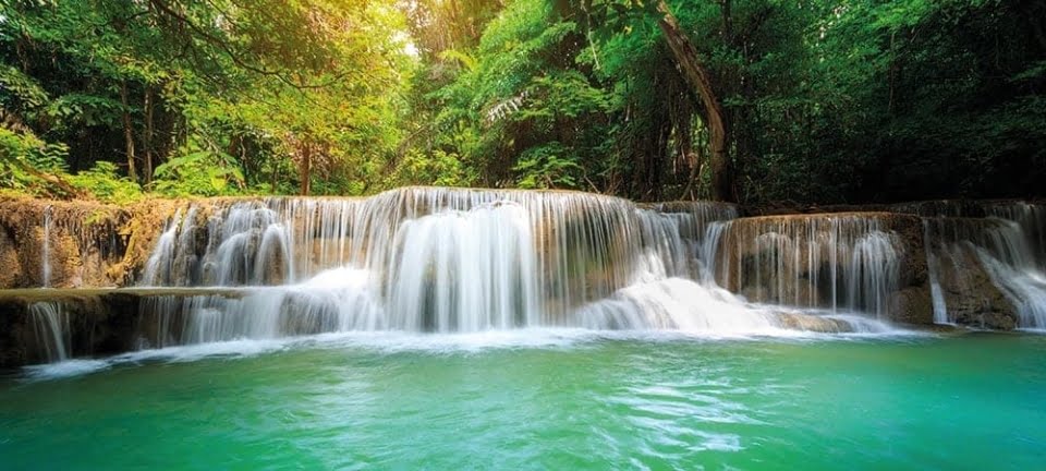 [shutterstock: 338753396, SUWIT NGAOKAEW]